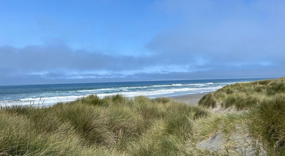 Tolowa Dunes State Park, California, USA